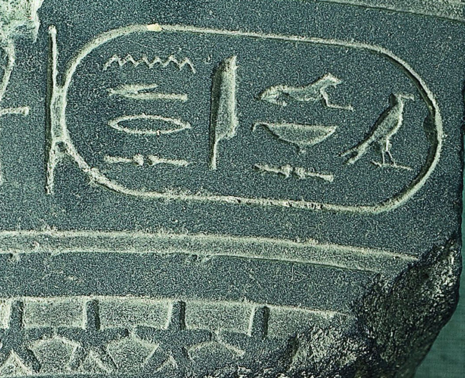 hiéroglyphes : cartouche royal contenant le nom d’Alexandre.