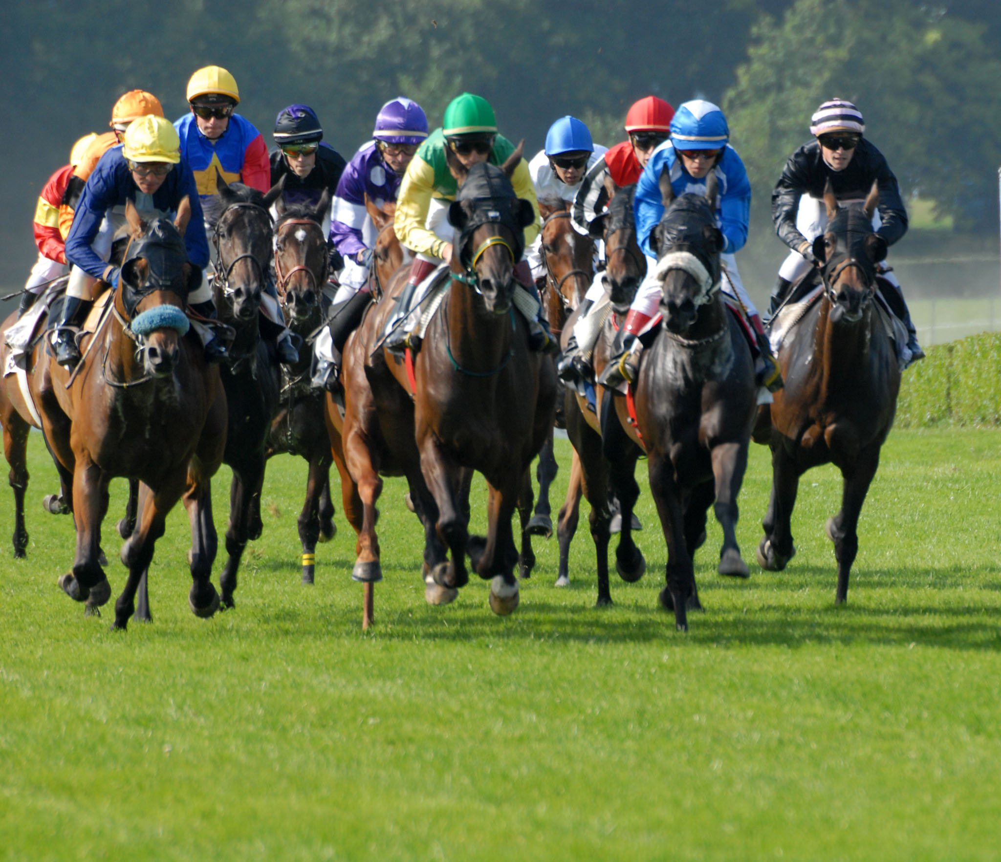  des jockeys lors d’une course hippique