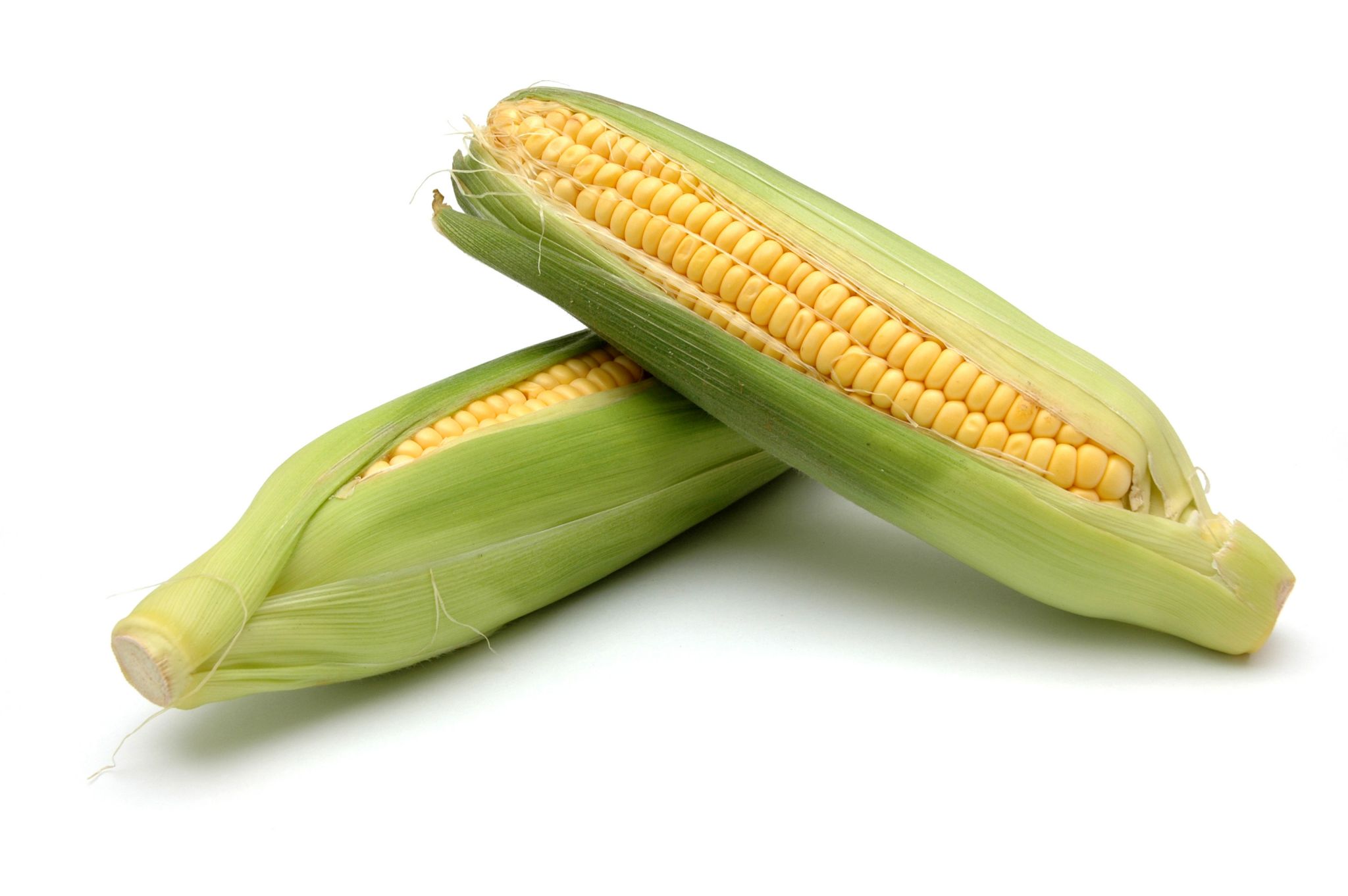 des épis de maïs