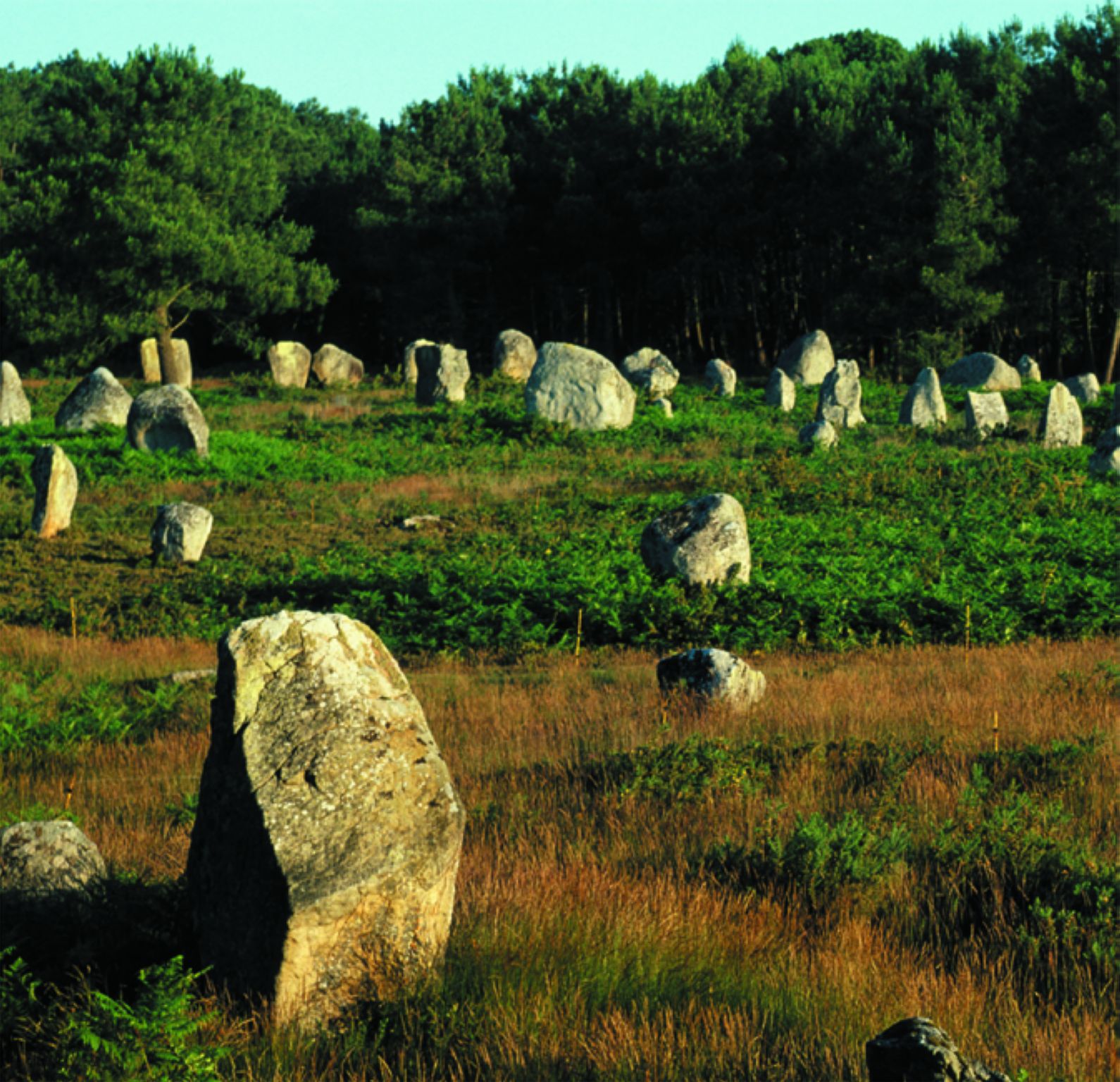 des menhirs (Carnac, France)