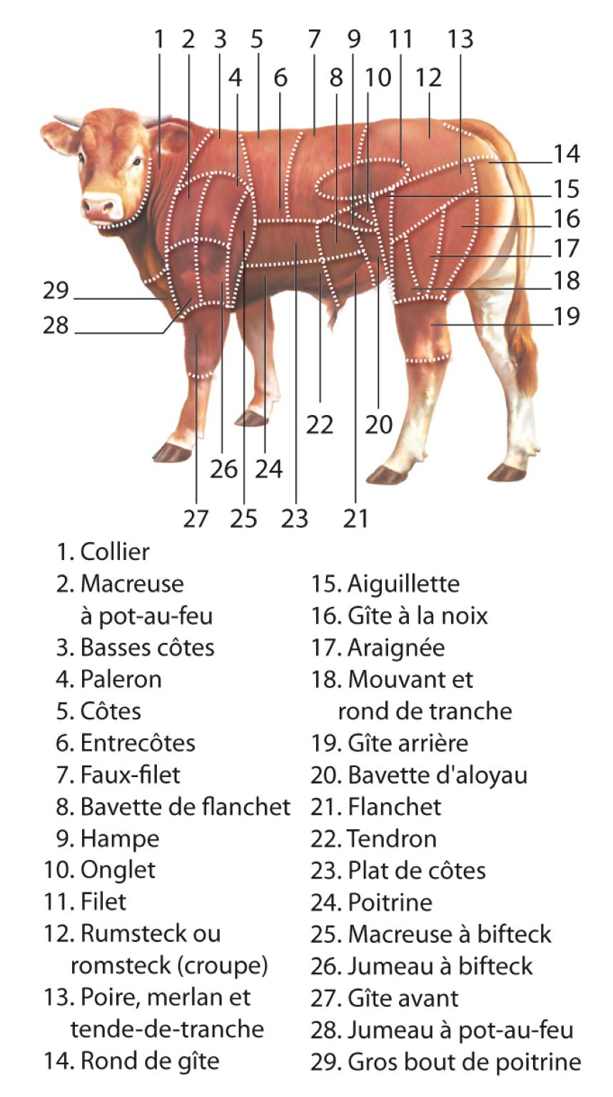 le bœuf (limousin) : les morceaux de boucherie