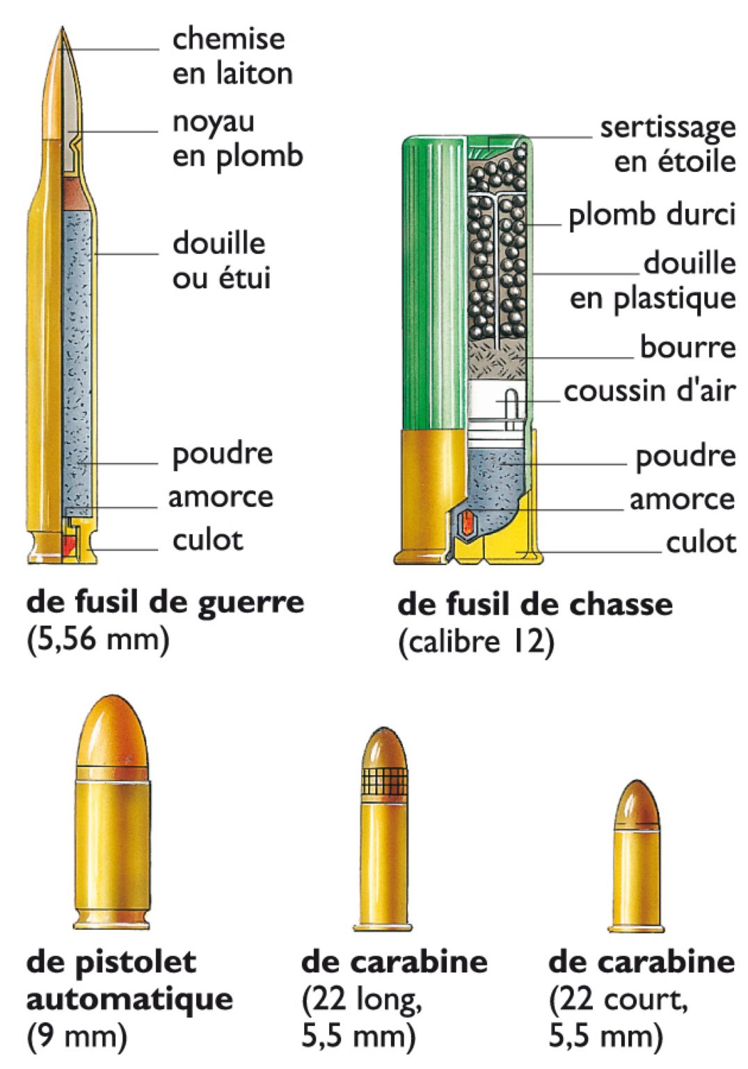 des cartouches de munitions