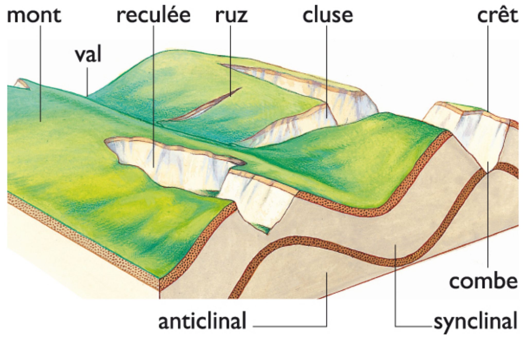 un relief jurassien