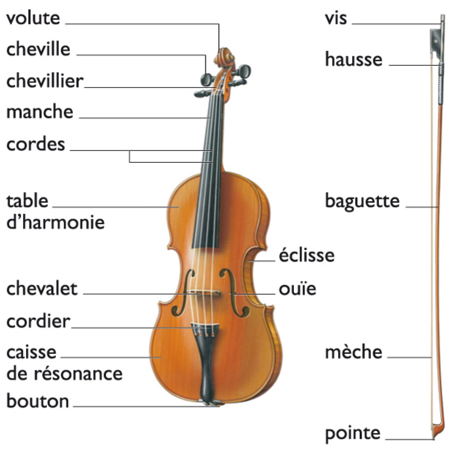 un violon et un archet