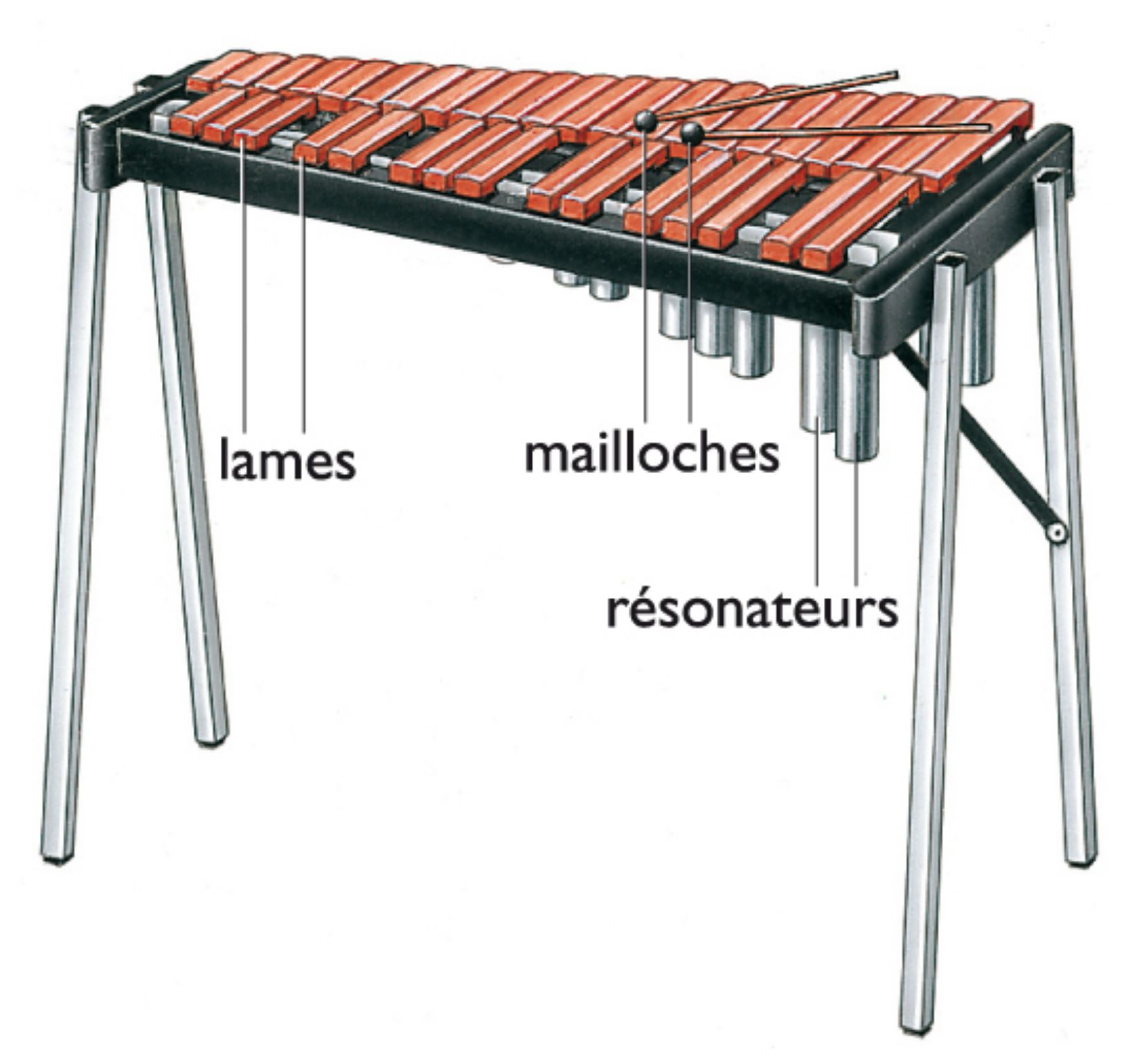 un xylophone