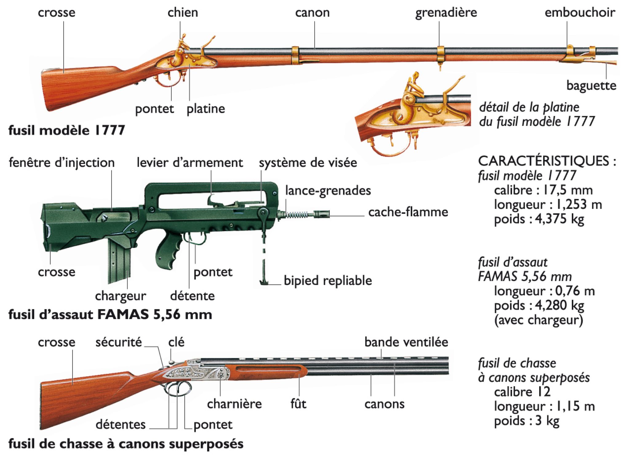 des fusils de guerre et de chasse