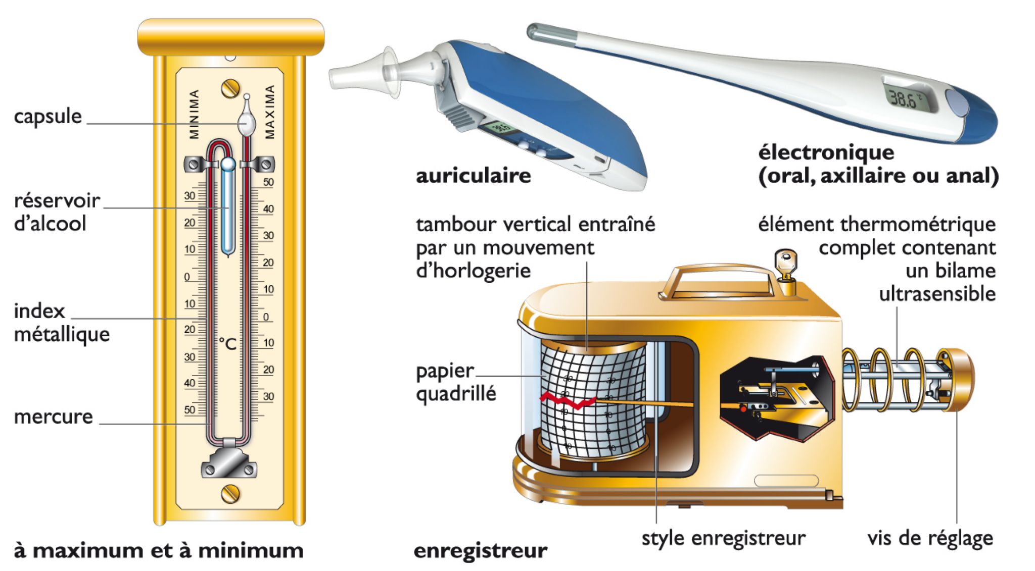 des thermomètres météorologiques et médicaux