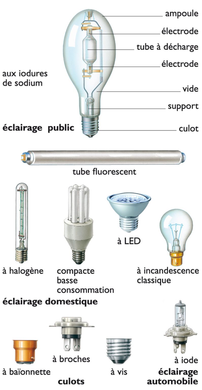 différents types de lampes, d’ampoules et de culots