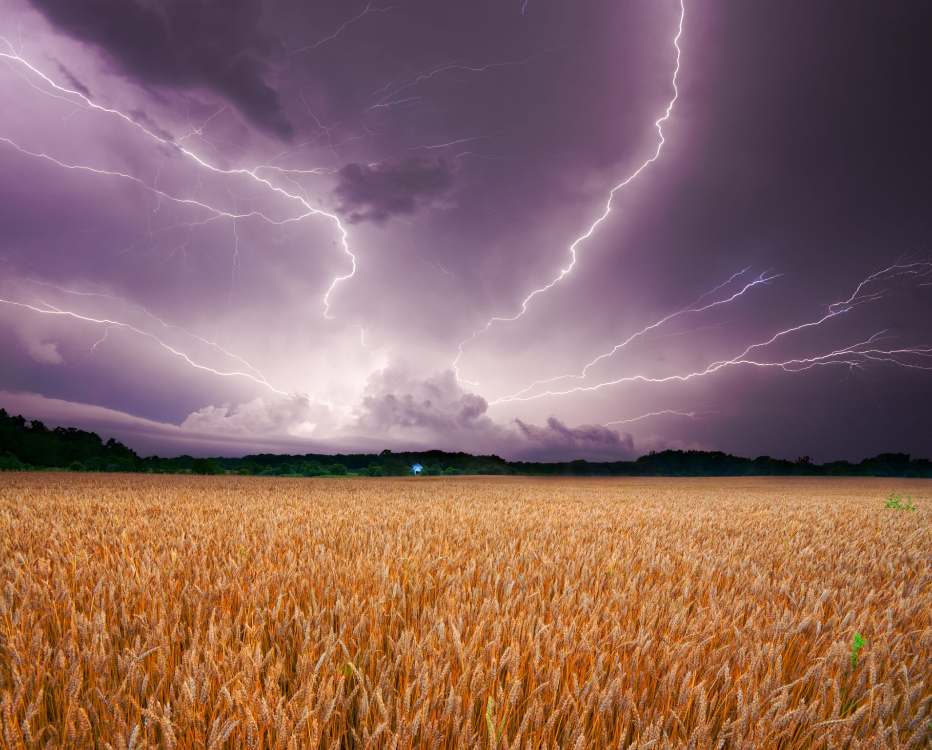 la foudre forme des éclairs lors d’un orage