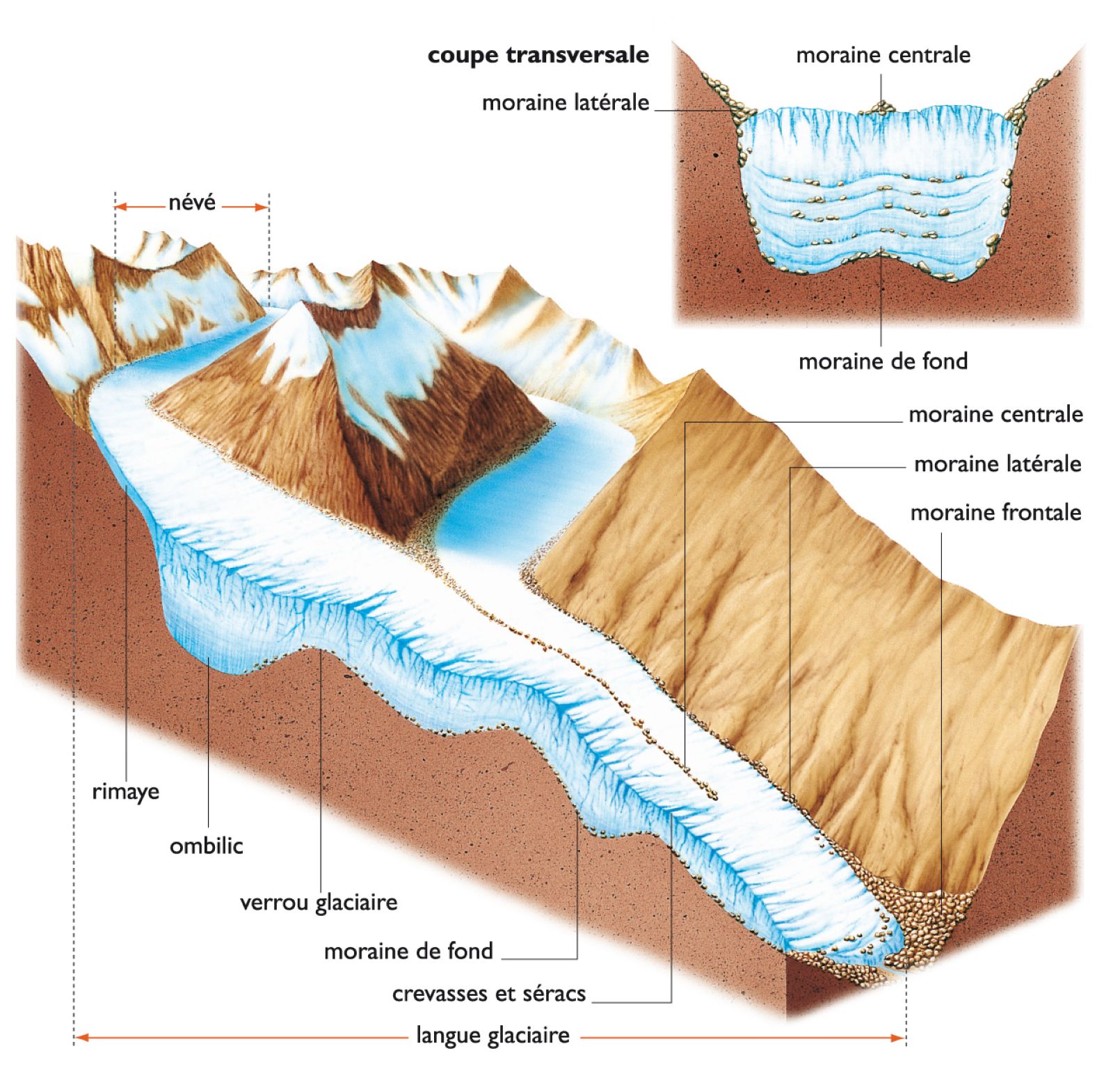 vues en coupe d’un glacier