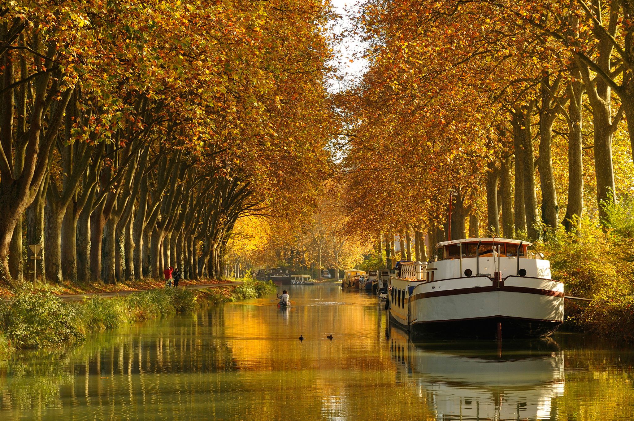 le canal du Midi, construit par Paul Riquet de 1666 à 1681