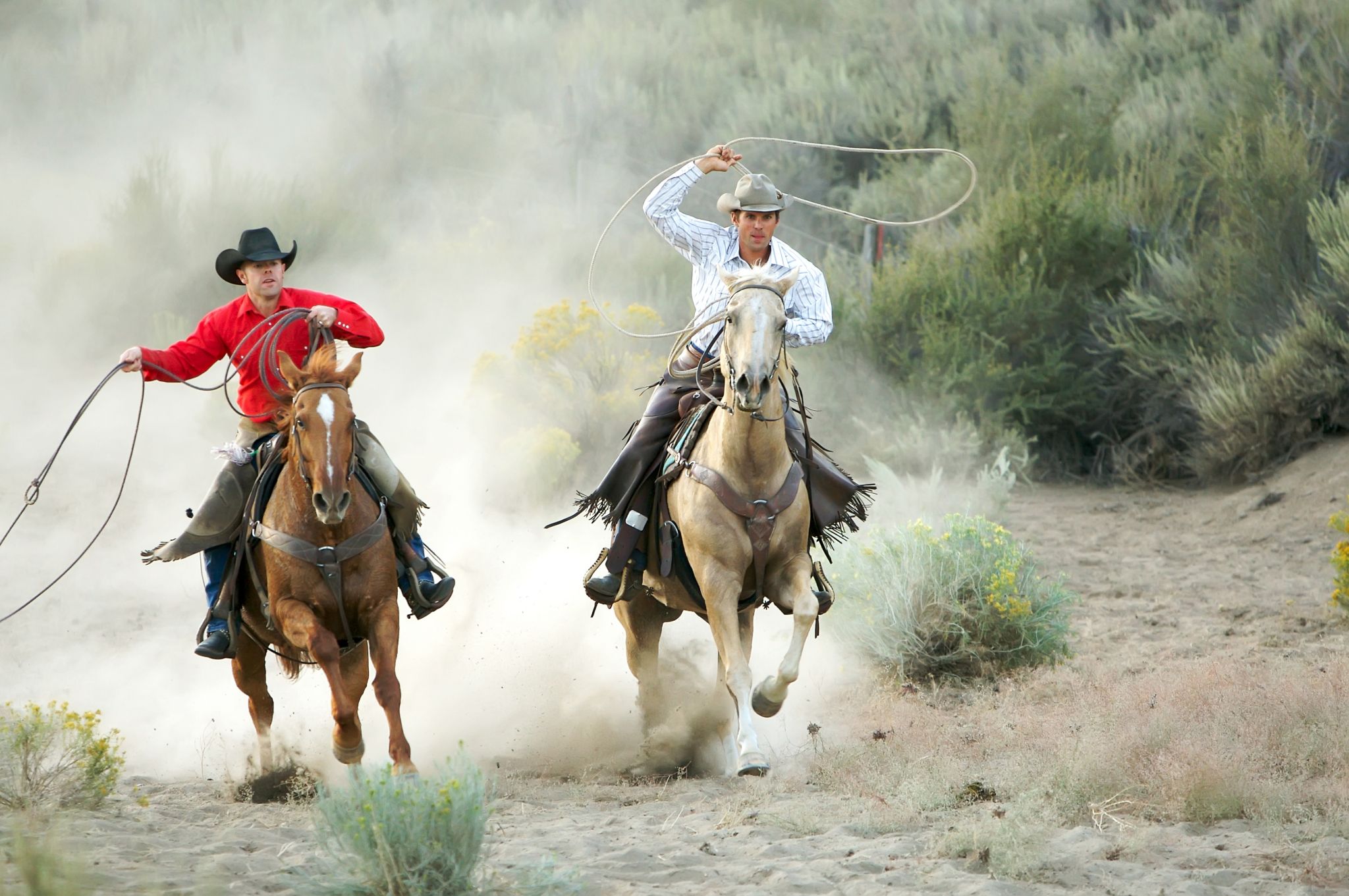 des cow-boys utilisant leurs lassos lors d’une chevauchée