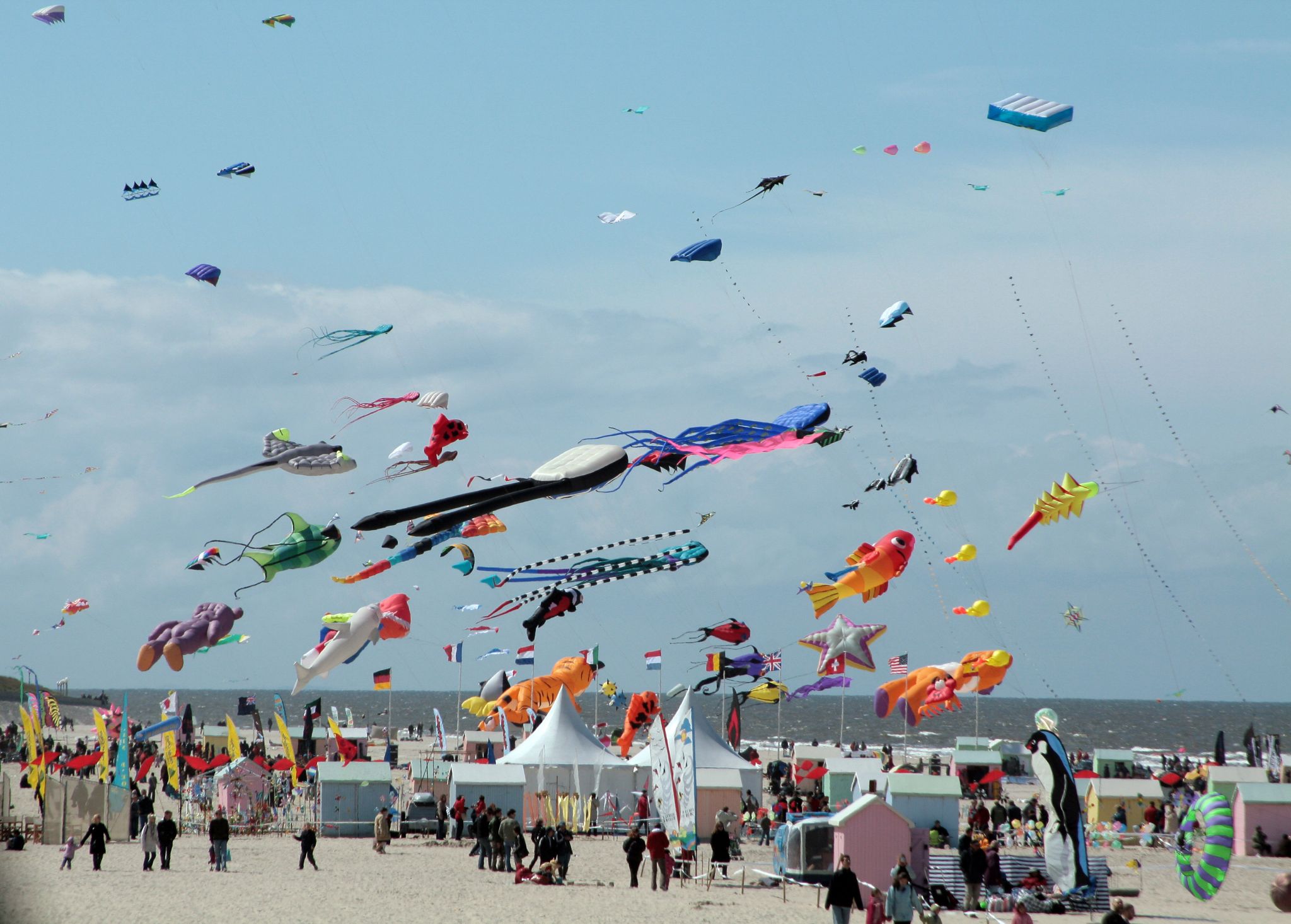 la plage de Berck, sur la Manche, avec son festival international de cerf-volant