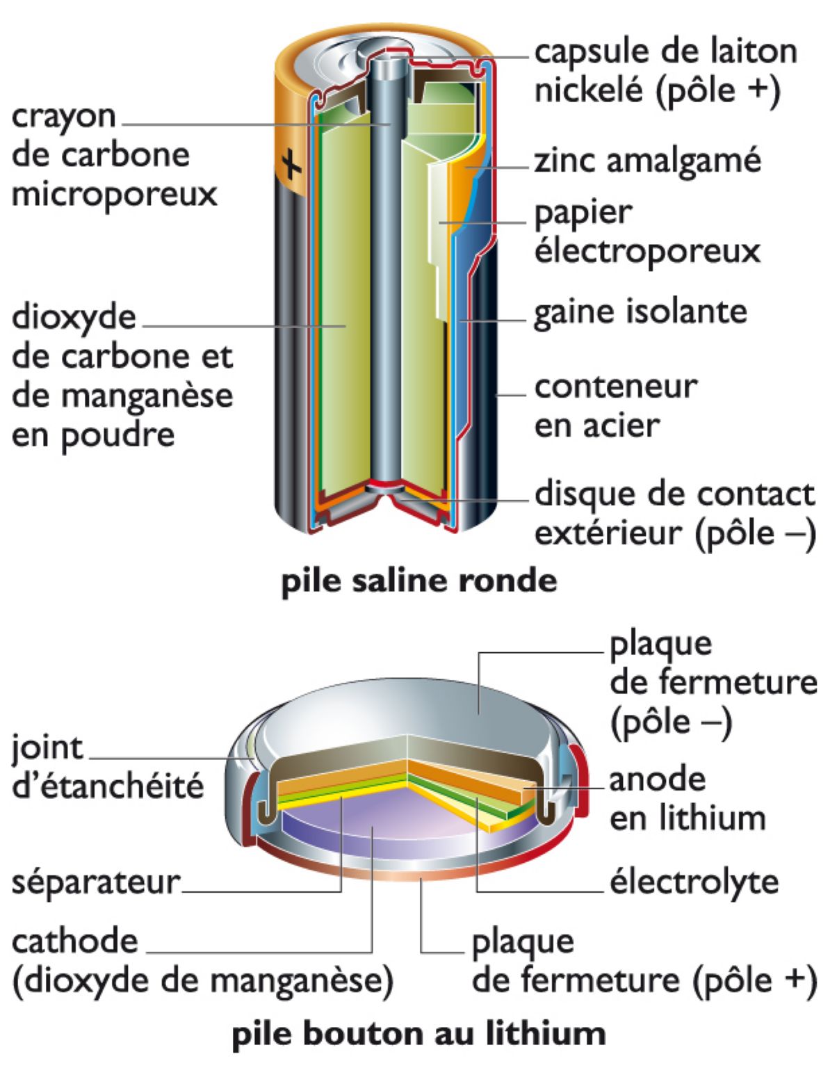 deux sortes de piles électriques